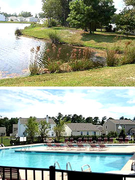 Bellgrove Preserve pool and pond